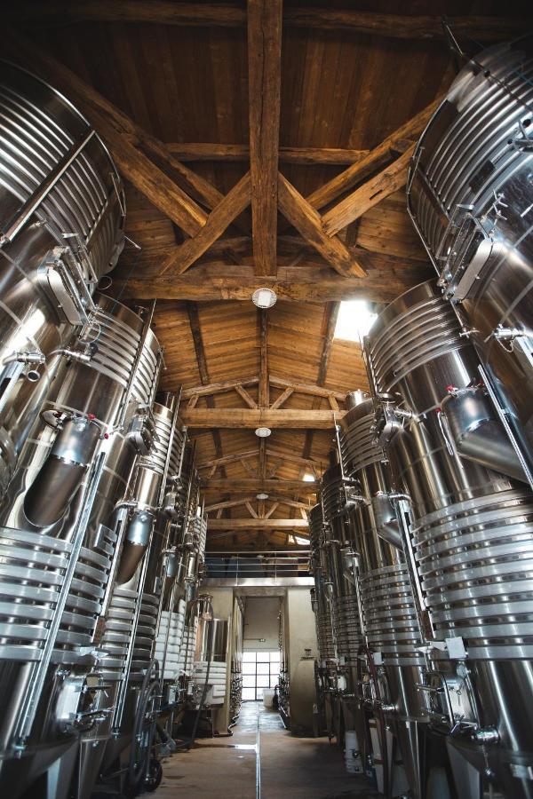 Chateau Saint Roux Le Luc-Le Cannet Des Maures 외부 사진